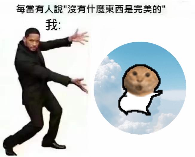 meme perfect